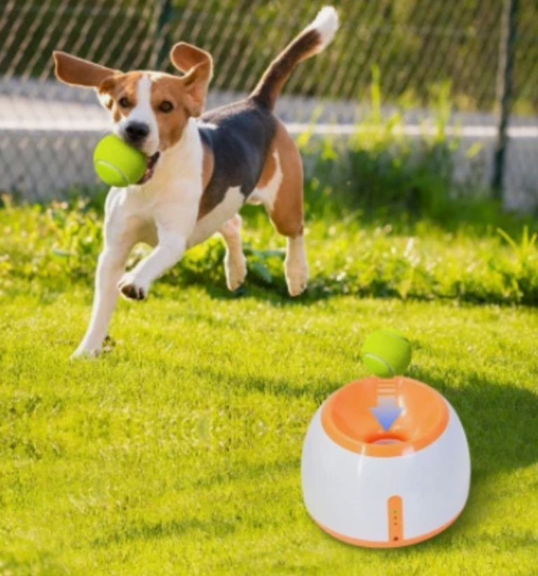Automatic Tennis Ball Throwing Machine For Dogs