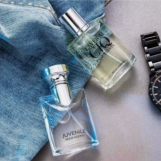 4 Pack 100ml Mens Cologne Deluxe De Parfum Silver Breeze Earth Fragrance