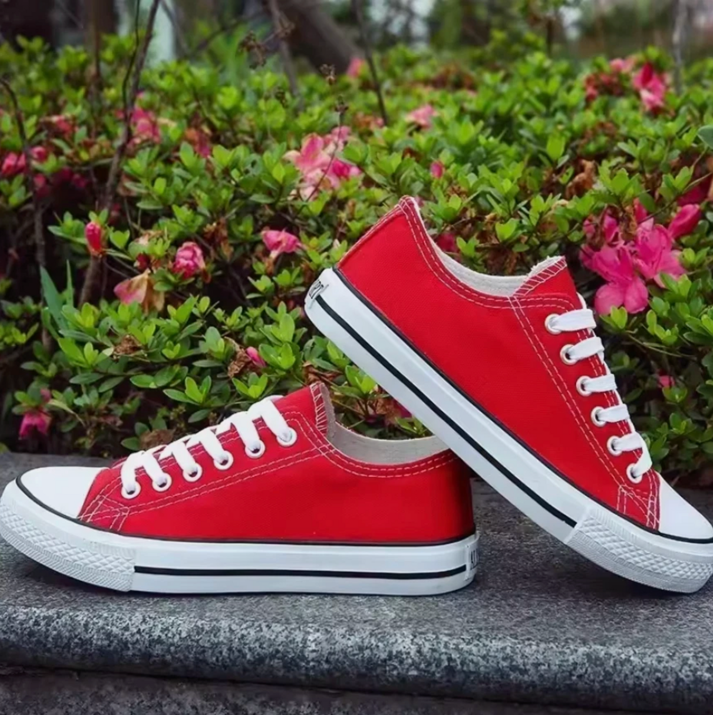 Unisex Shoes Classic Flat Bottom Low Top Lace Up Casual Sneakers